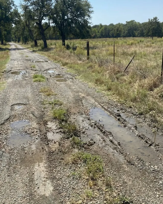 Rutted ranch road with standing water between pasture fences and live oaks